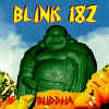 buddah