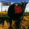 dude ranch